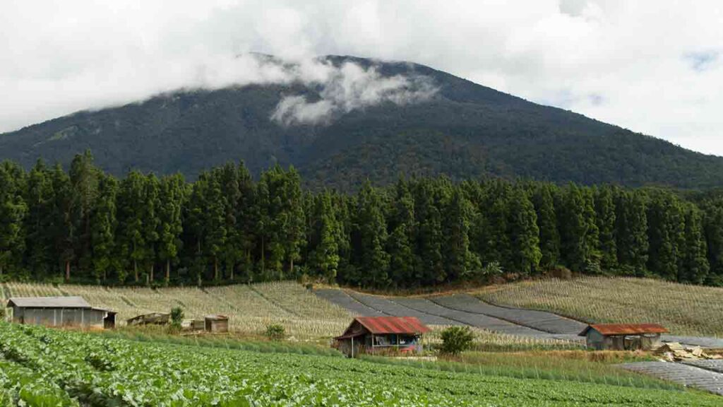 Gunung Gede dilihat dari daerah Goalpara Sukabumi, jawa Barat