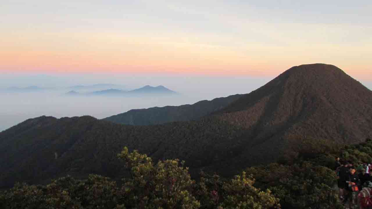 Puncak gunung Patrngrango dilihat dari Puncak Gede.