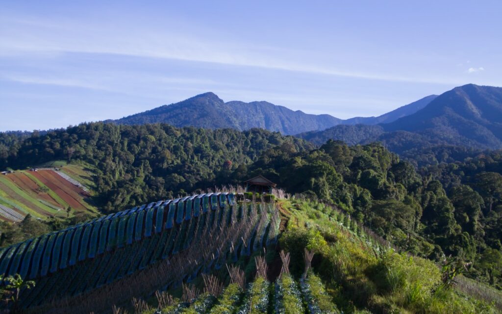 Selain untuk lari pagi dan jalan santai, kamu juga bisa menjadikan lokasi-lokasi ini untuk bersepeda menyenangkan di Sukabumi