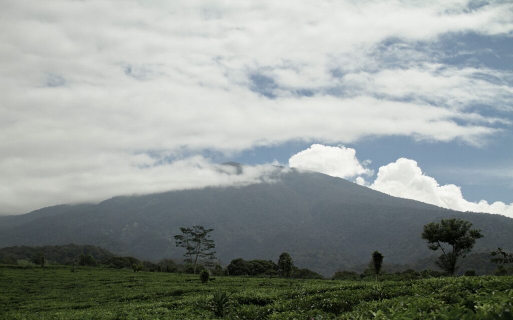 Pondok Halimun Sukabumi