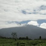 Pondok Halimun Sukabumi