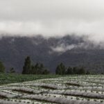 Bukit Naimin Sukabumi