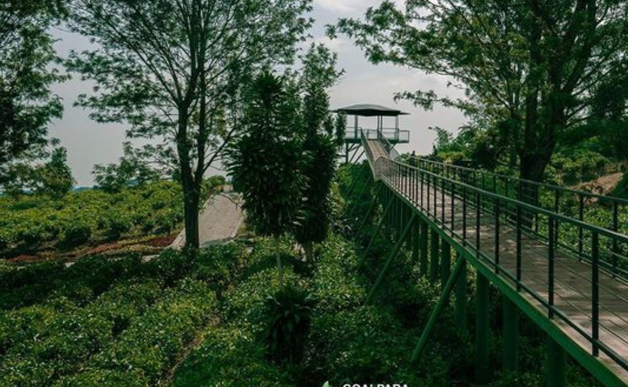 Goalpara Tea Park Sukabumi | Foto: Instagram/@goalparateapark