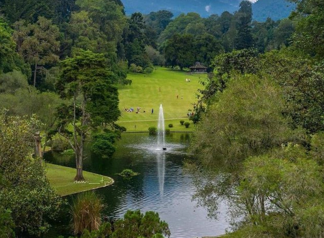 Pemandangan salah satu sudut Kebun Raya Cibodas