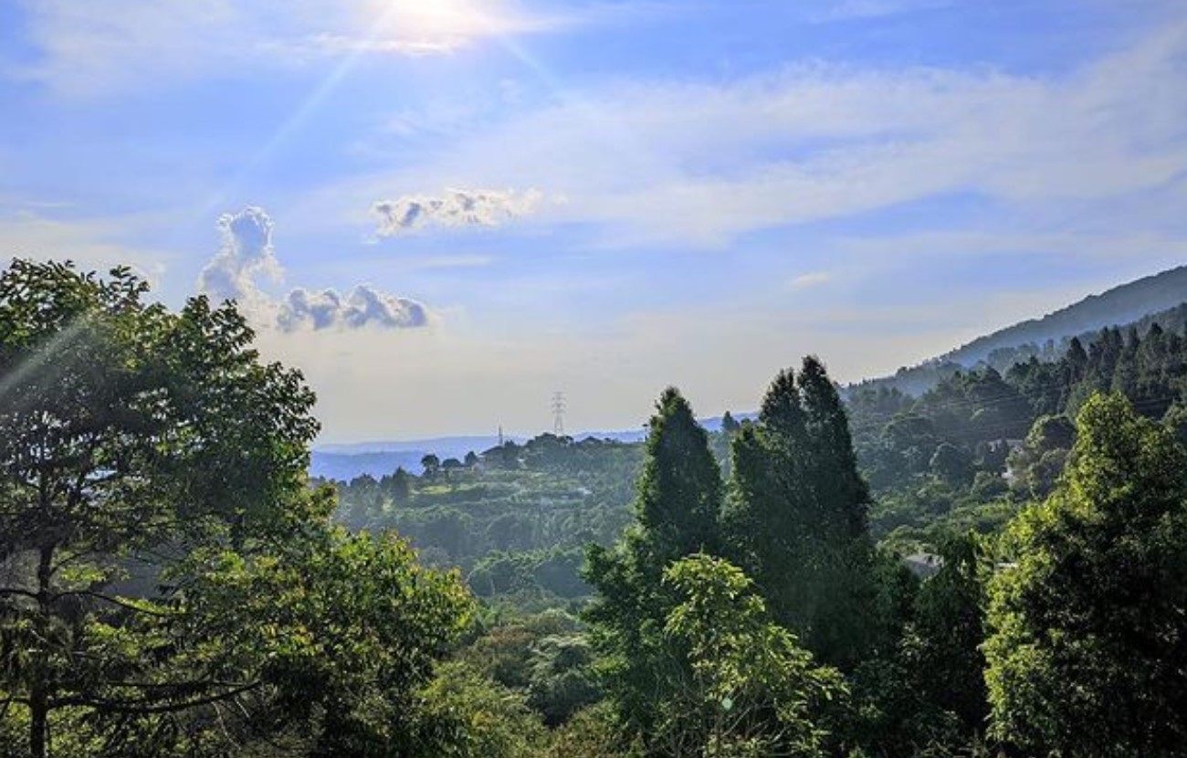 Pemandangan pagi di Bukit Gunder Bogor | Foto: Instagram/bukit_gunder