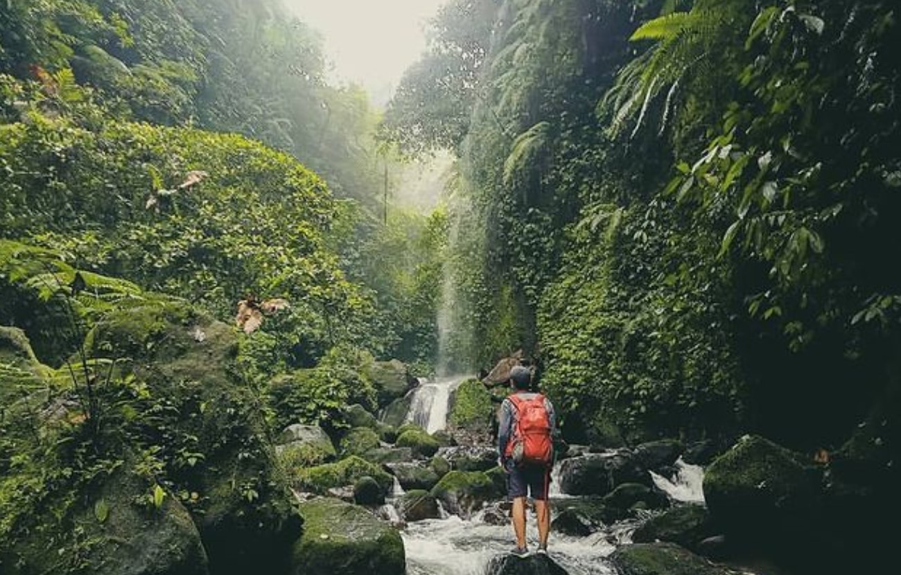 Suasana di surga tersembunyi Curug Walet Bogor | Foto: Instagram/@ijull__ 