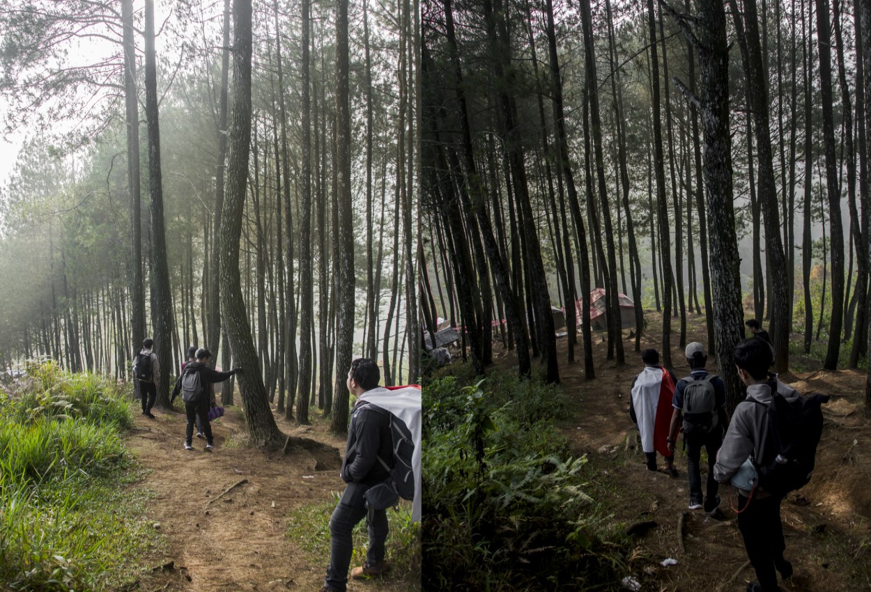 Hutan Pinus di Bukit Sabak Sukabumi | Foto: Sapabentala/Deimran