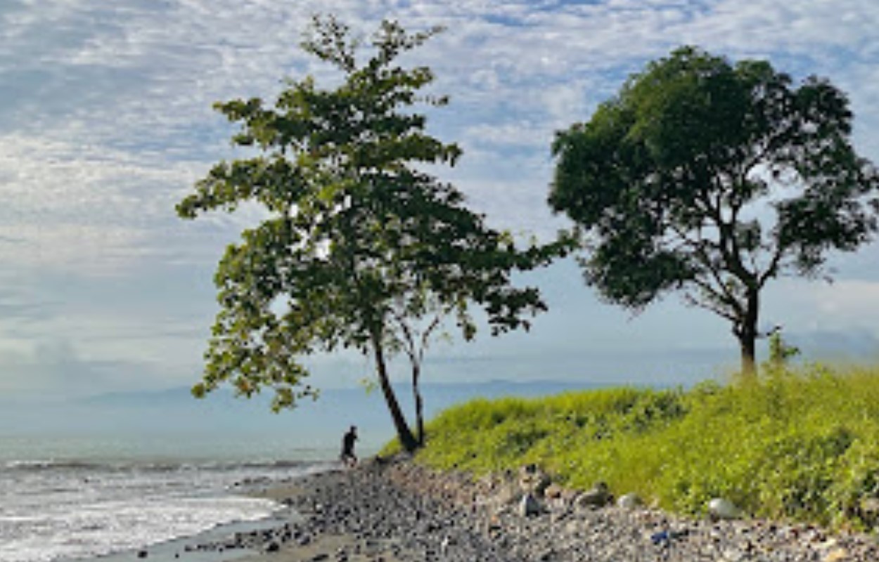 Pantai Cikembang Sukabumi | Foto: Googlemaps/Annisa Martin