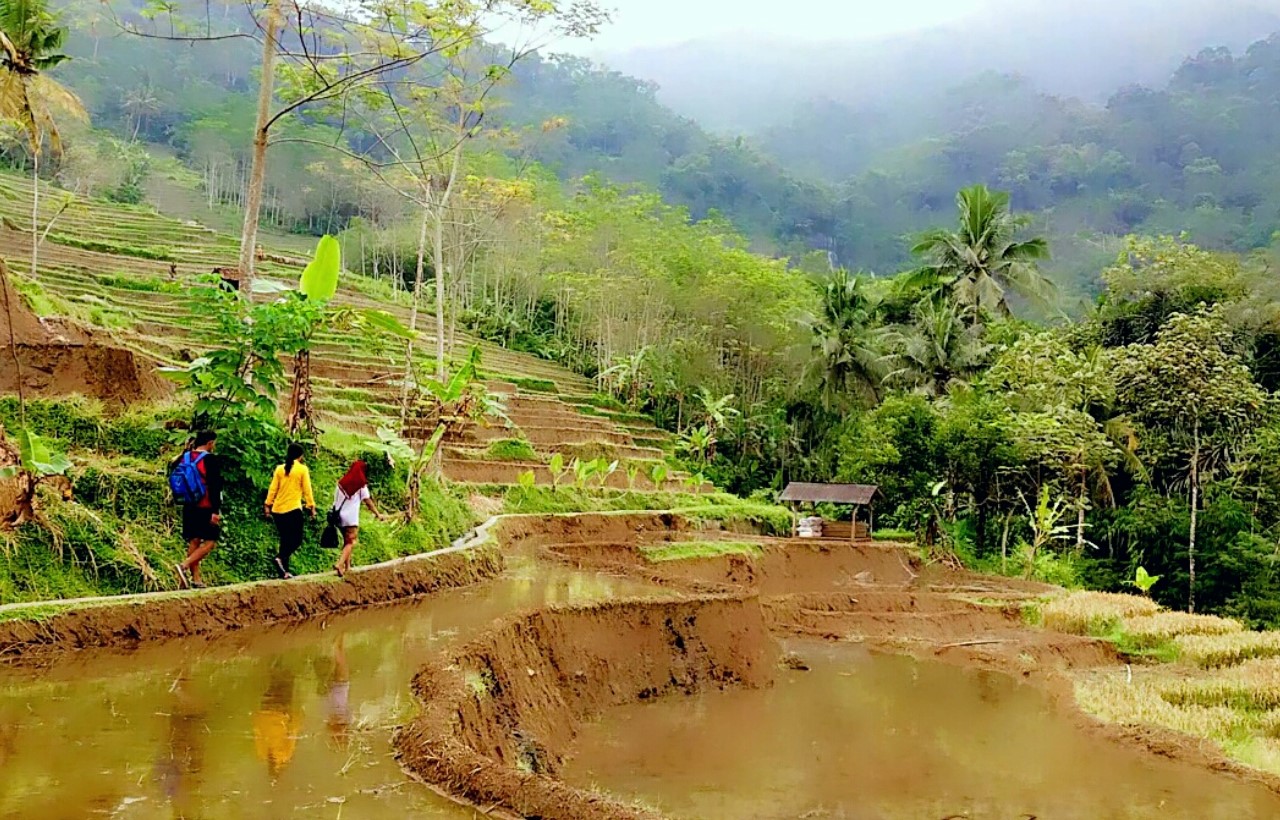 Treking menuju Curug Ngelay Kuningan | Foto: Googlemaps/Jejak Wisata