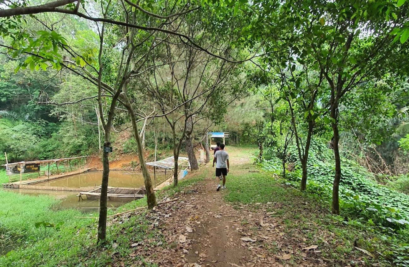 Hutan Kota Cianjur HUKOCI | Foto: Google Maps/Depi Rusnandar