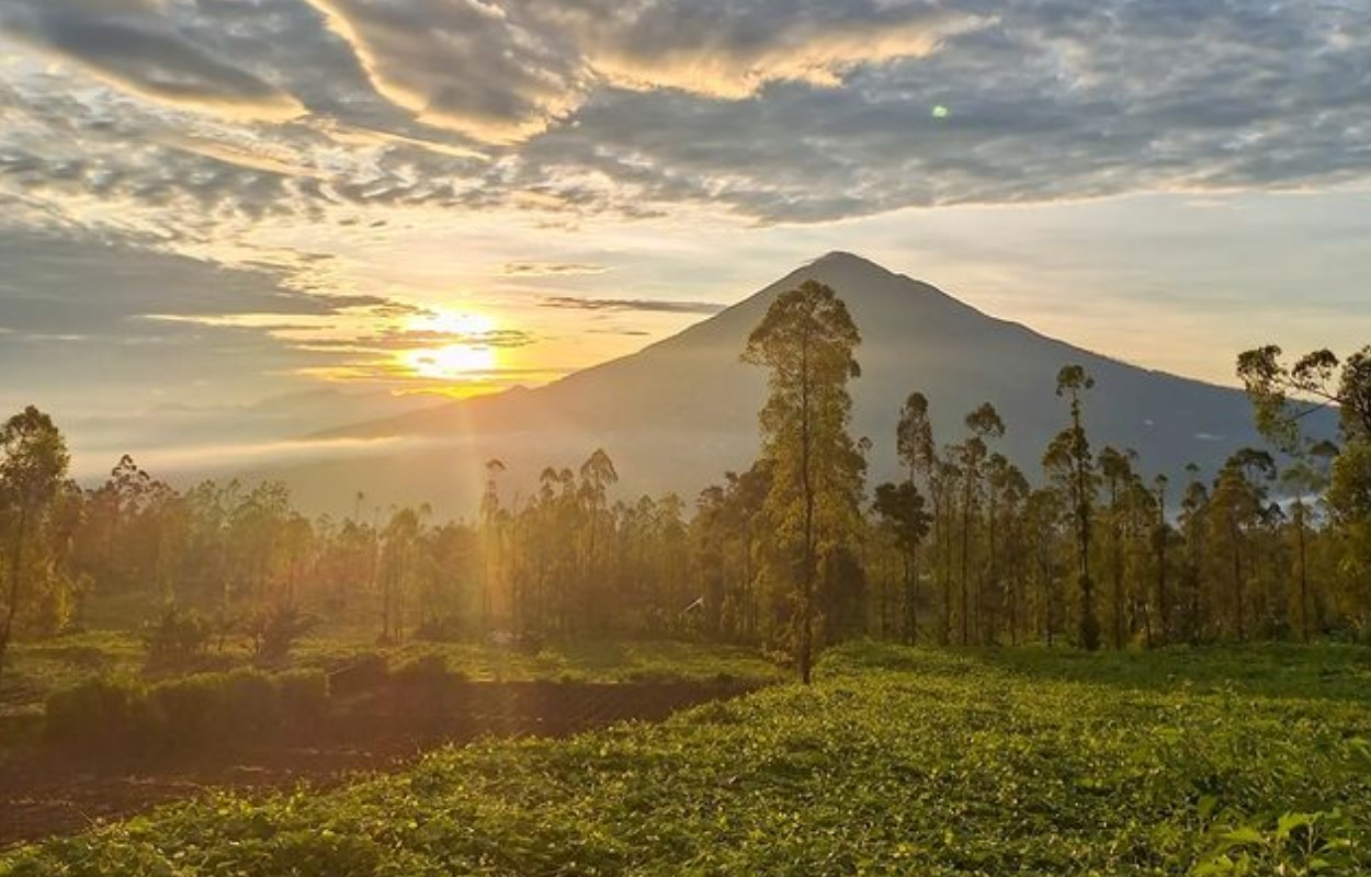 View gunung Cikuray di Tepas Papandayan | Foto: Instagram/asyifanur_09