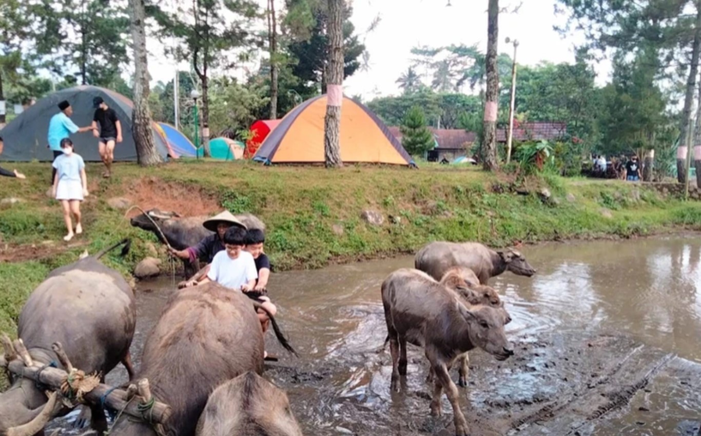 Belajar membajak sawah di Citra Alam Riverside | Foto: citraalam.id