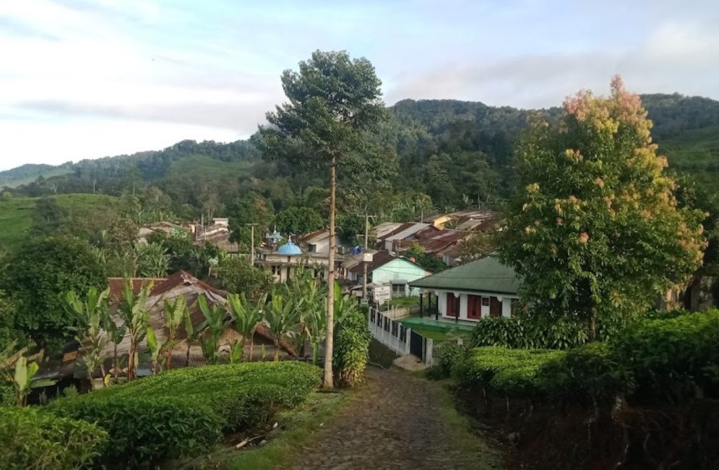 Kampung Wisata Kopi Cibulao Bogor