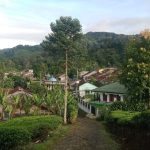 Kampung Wisata Kopi Cibulao Bogor