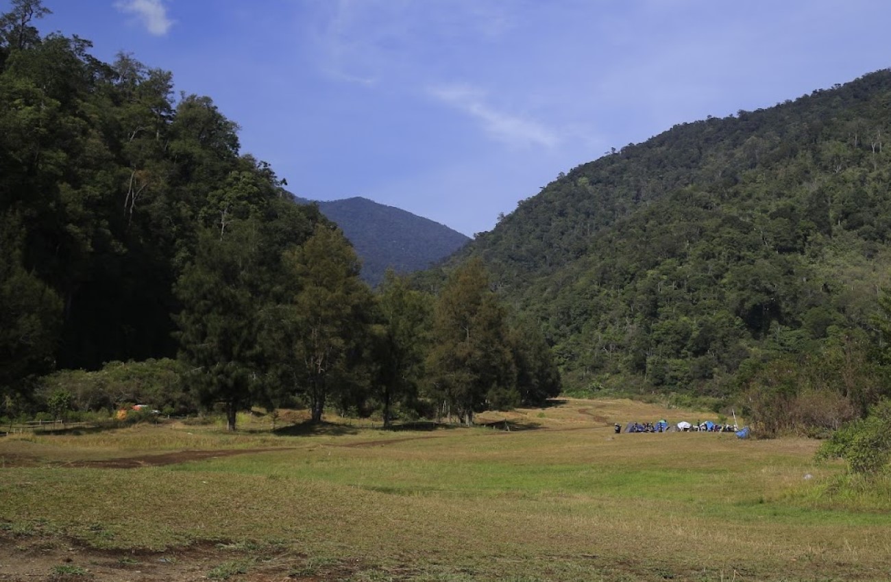 Spot berkemah di Buper Mandalawangi Cibodas | Foto: Googlemaps/Aliphya Rausyan Fikr