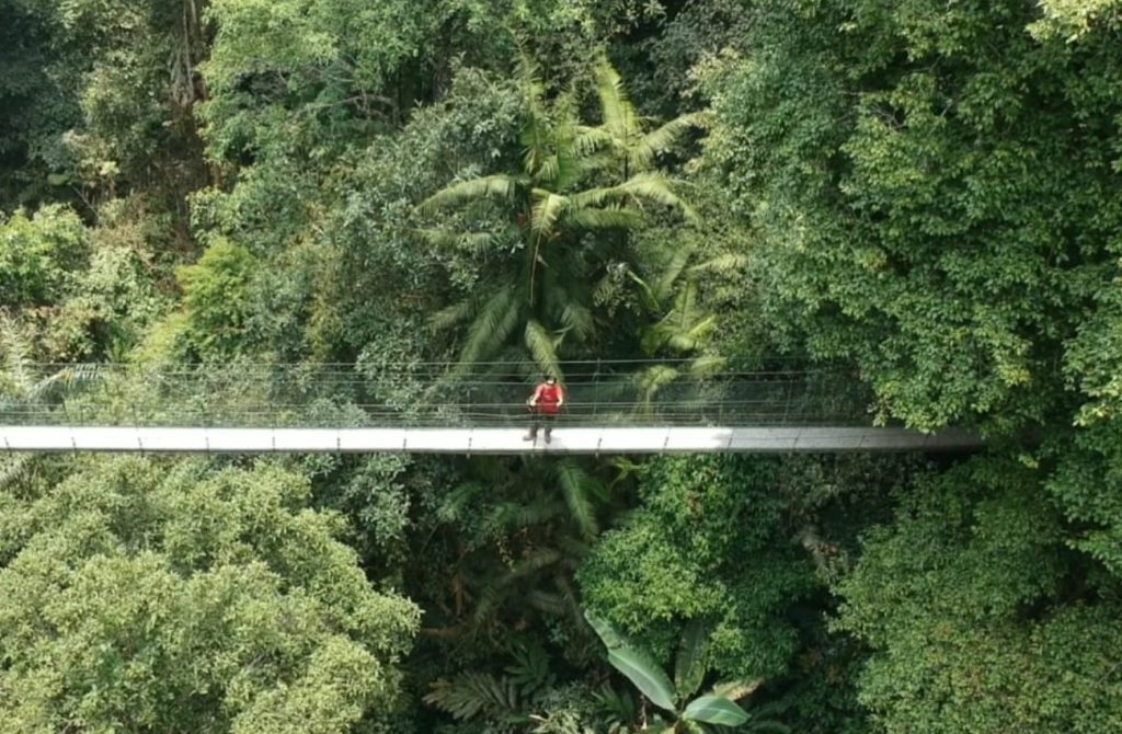 Canopy Trail Ciwalen-Cibodas