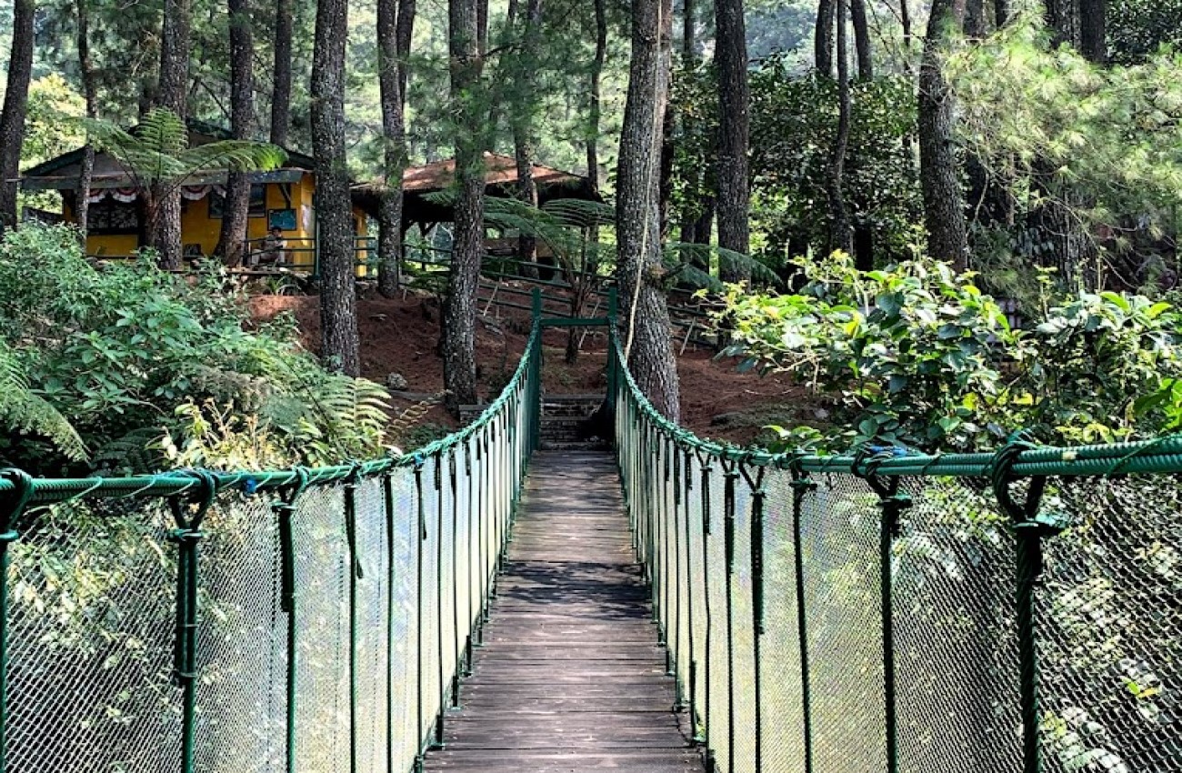 Jembatan Gantung di Suaka Elang Loji Bogor | Googlemaps/SanelitaThariqi