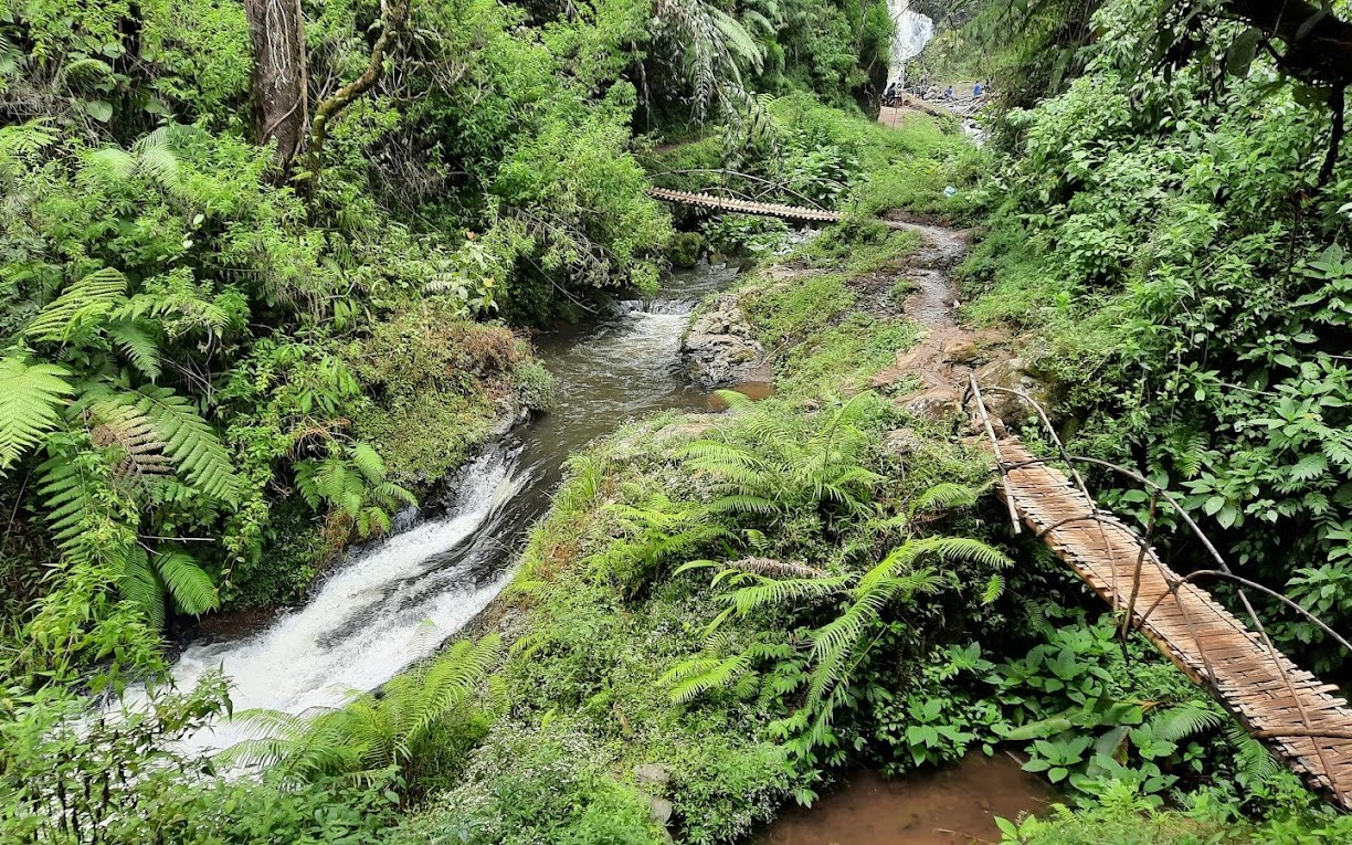 Jalur trekking di Ciwangun Indah Camp Lembang | Foto: Googlemaps/Rafi Lukman