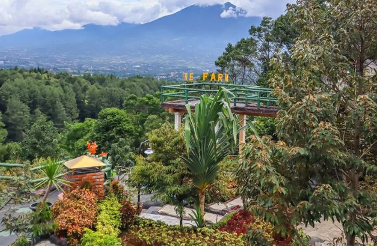 Pemandangan Gunung Salak dari The Farm Pancawati Bogor | Foto: Instagram/thefarmpancawati