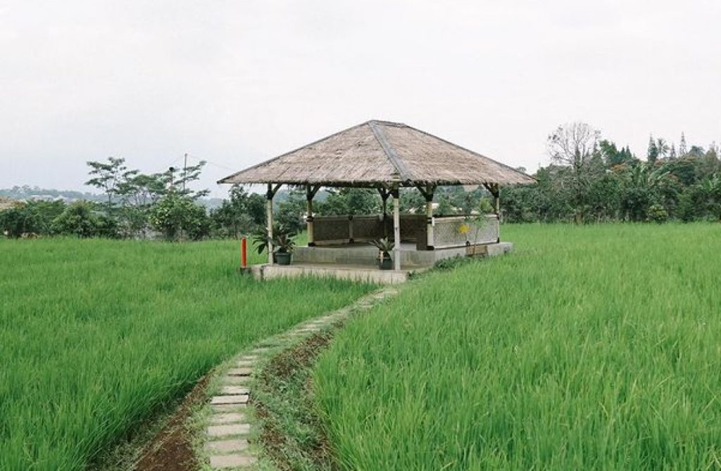 Sawah Abah Coffee Bogor