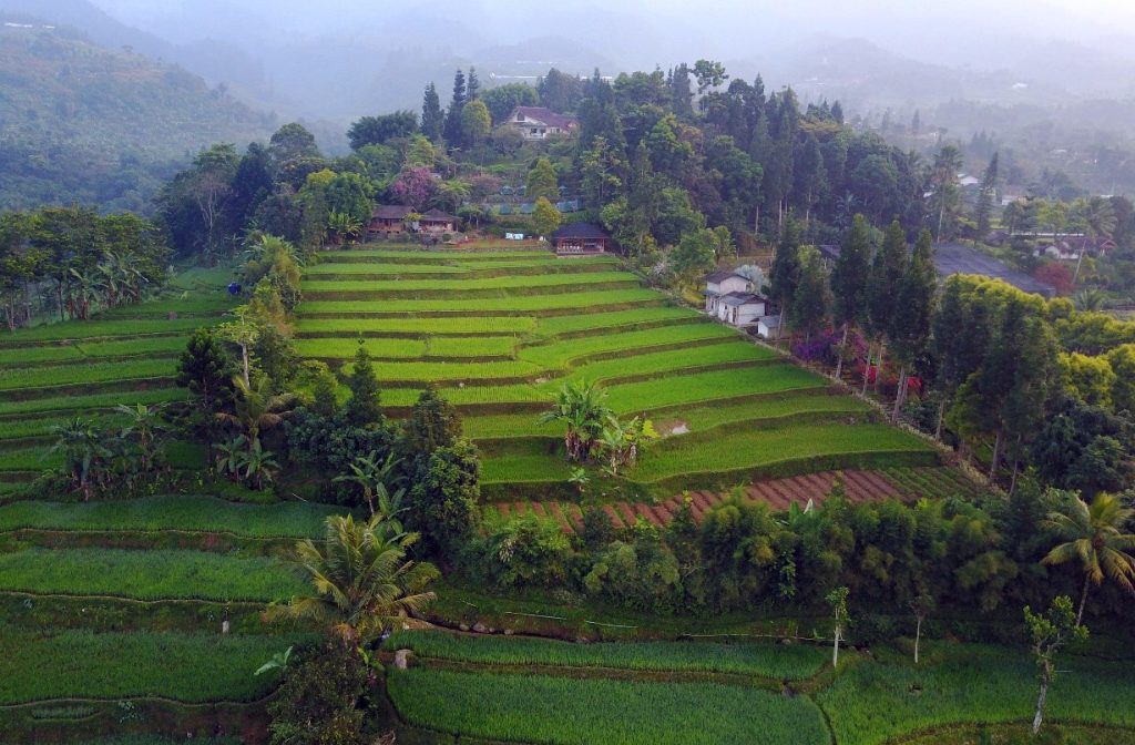 Sekar Gemati Agroventure Sukabumi | Foto: sekargemati.com