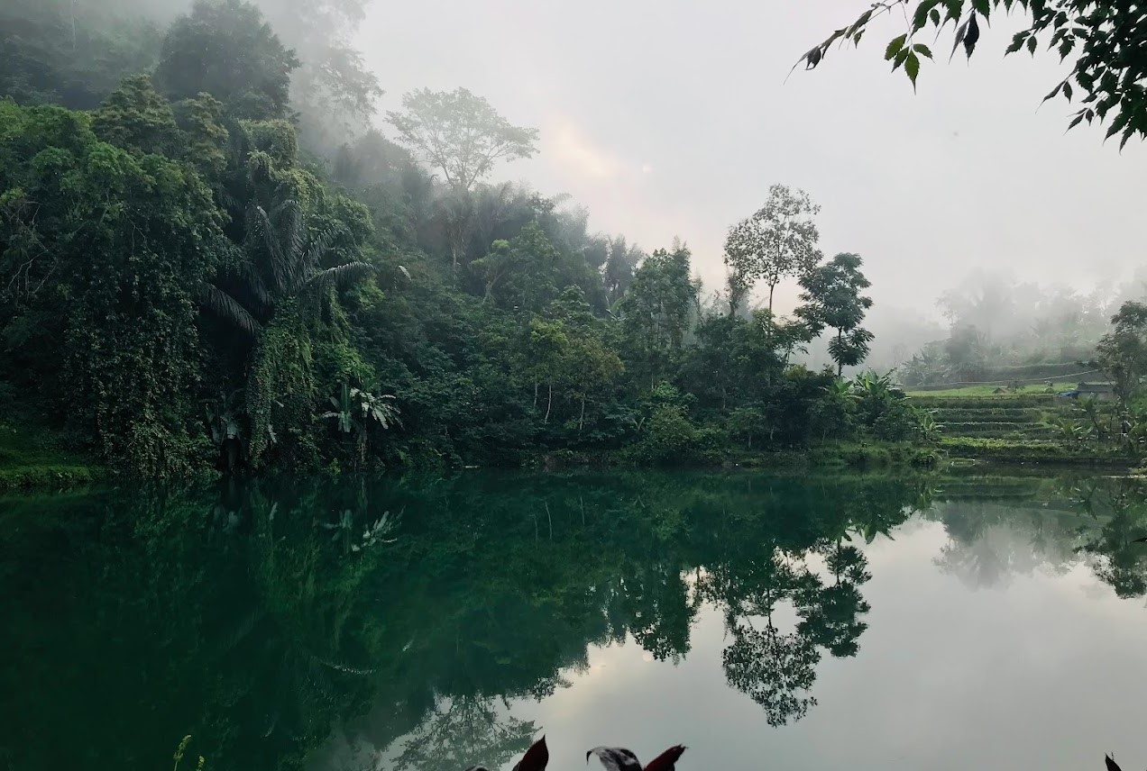 Leuwi Soro Cianjur | Foto: Gmaps/Maisyaroh