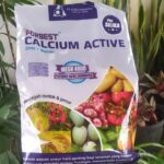 Pupuk Kalsium Forbest Calsium Active